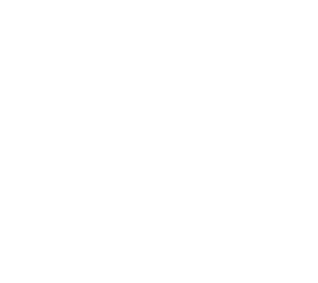 Plain white image with no visible content or objects.